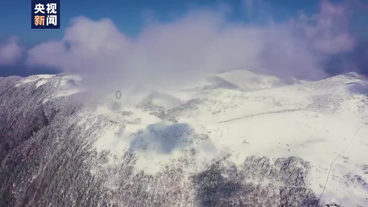 天谕手游